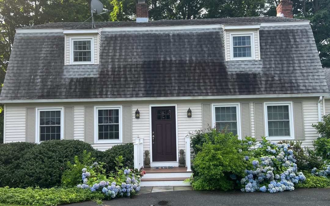 What Are the Black Streaks on Your Roof?