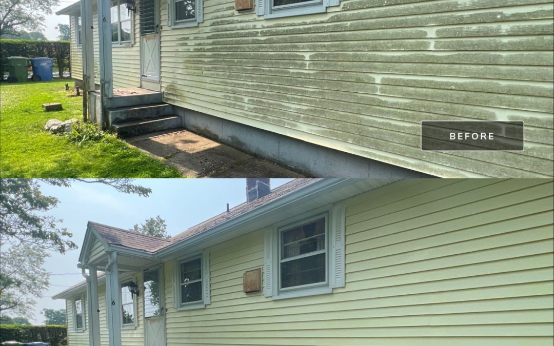 What is the Green on My Home?