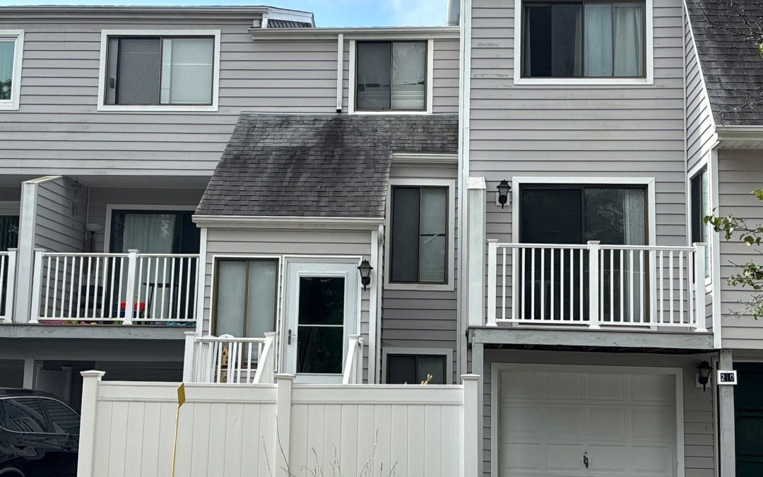 Keep Your Insurance Safe — and Your Home Spotless with Pura SoftWash