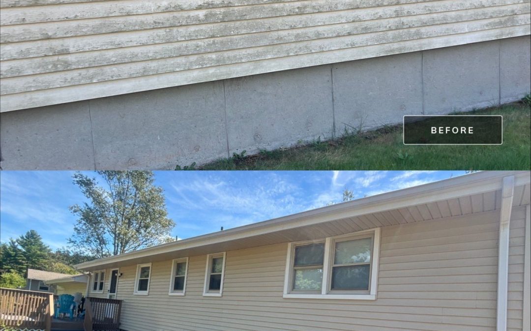 What Happens If You Don’t Wash Your Roof or Siding?