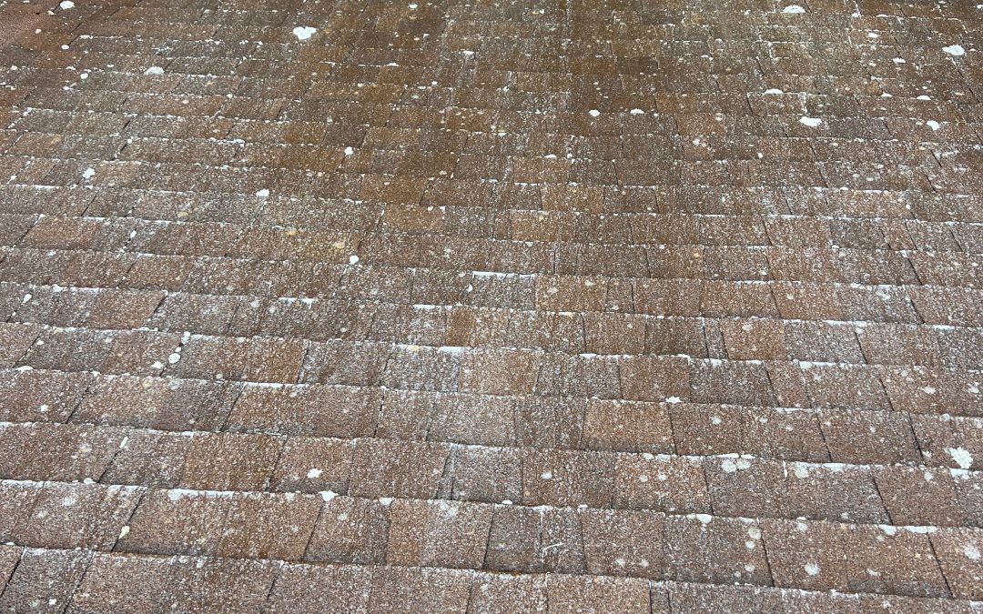 How Snow Worsens Roof Damage When Moss or Black Streaks Are Present