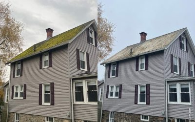 Why Roofs Get Black Streaks: What Homeowners Need to Know